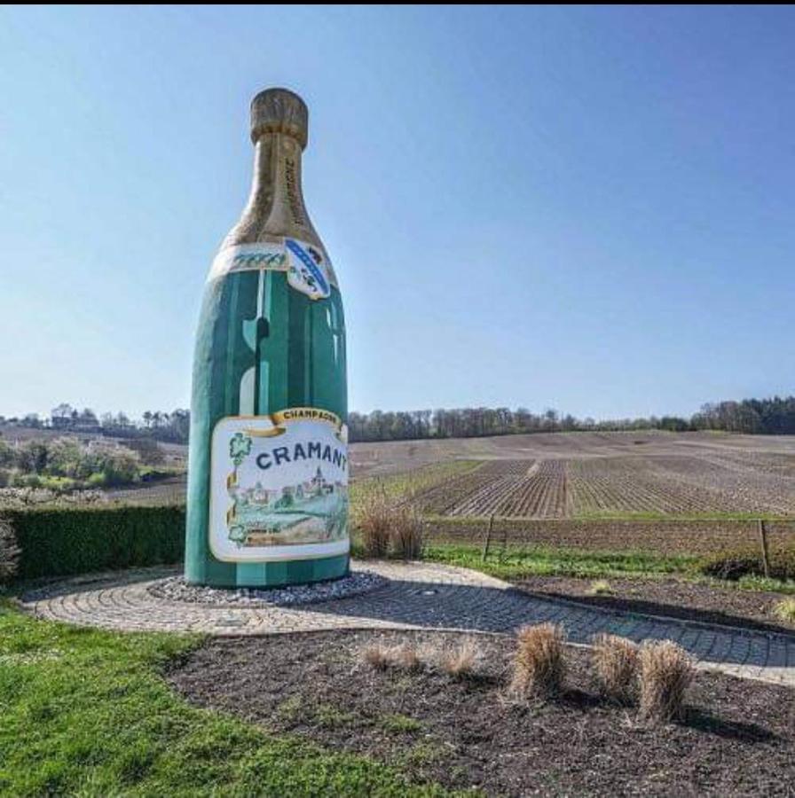 Cramant Gite En Champagne Le Sarment מראה חיצוני תמונה