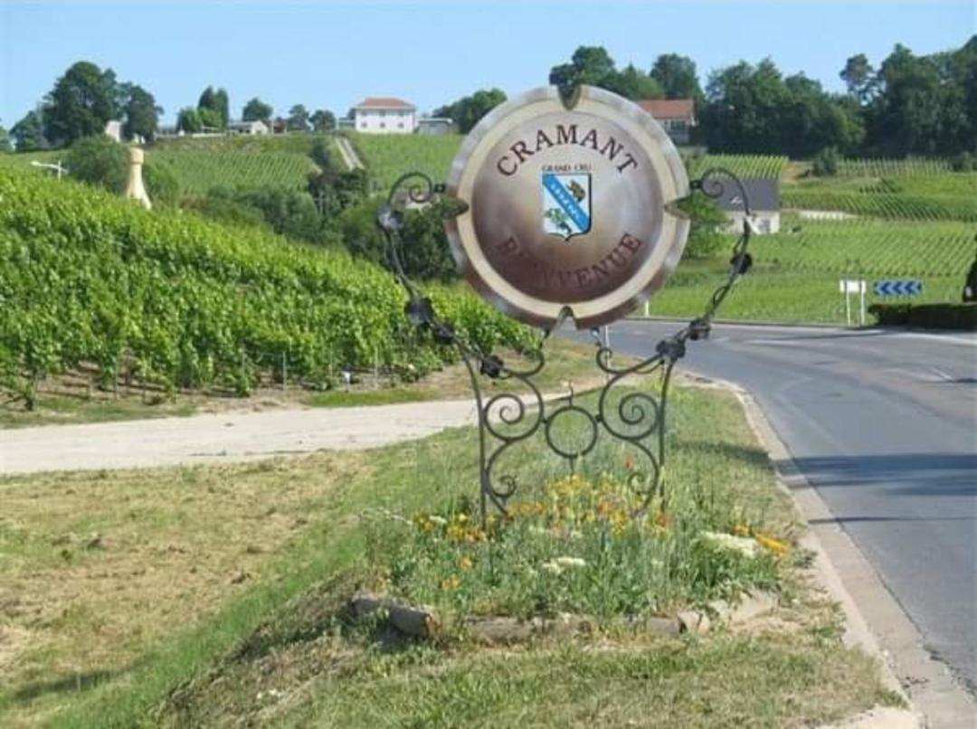 Cramant Gite En Champagne Le Sarment מראה חיצוני תמונה