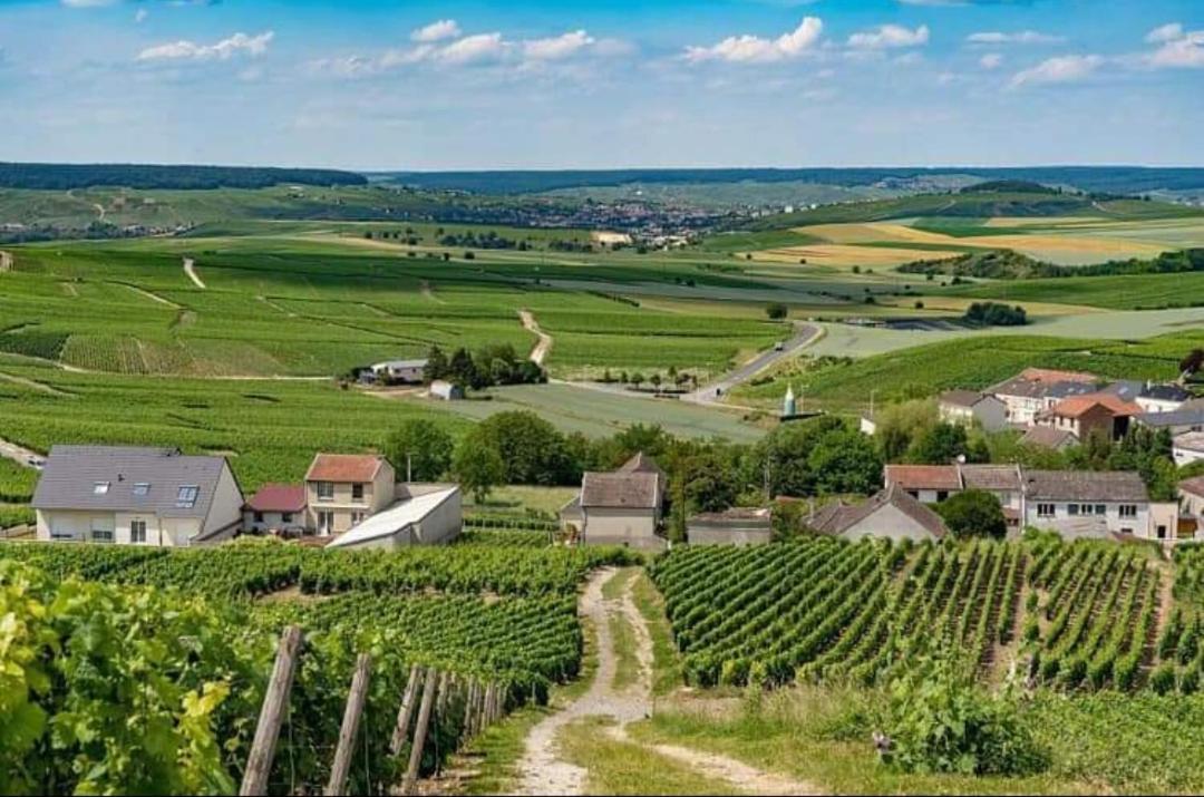 Cramant Gite En Champagne Le Sarment מראה חיצוני תמונה